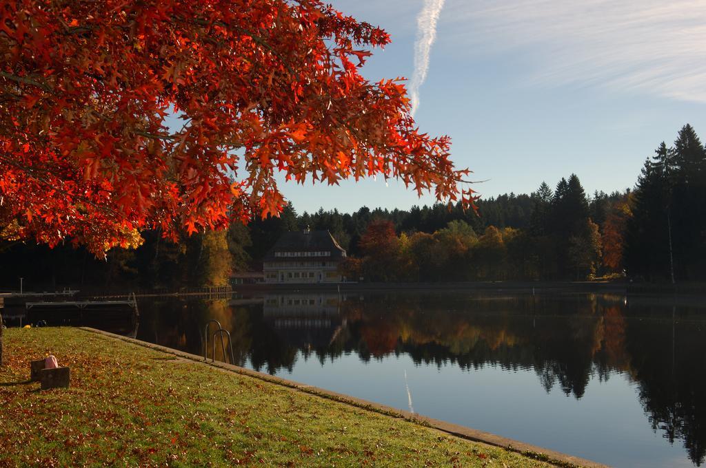 Hotel Waldsee Lindenberg im Allgäu Exterior foto